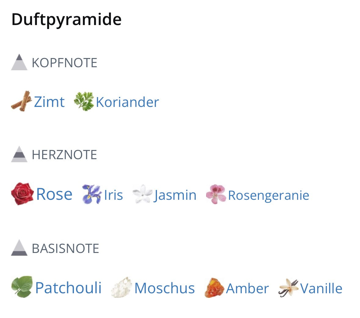 New Note Erotika Minimale