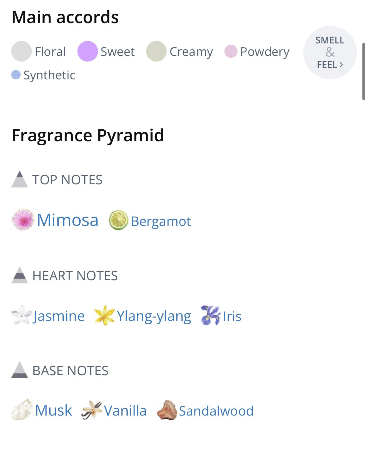 New Note Latte Mimosa