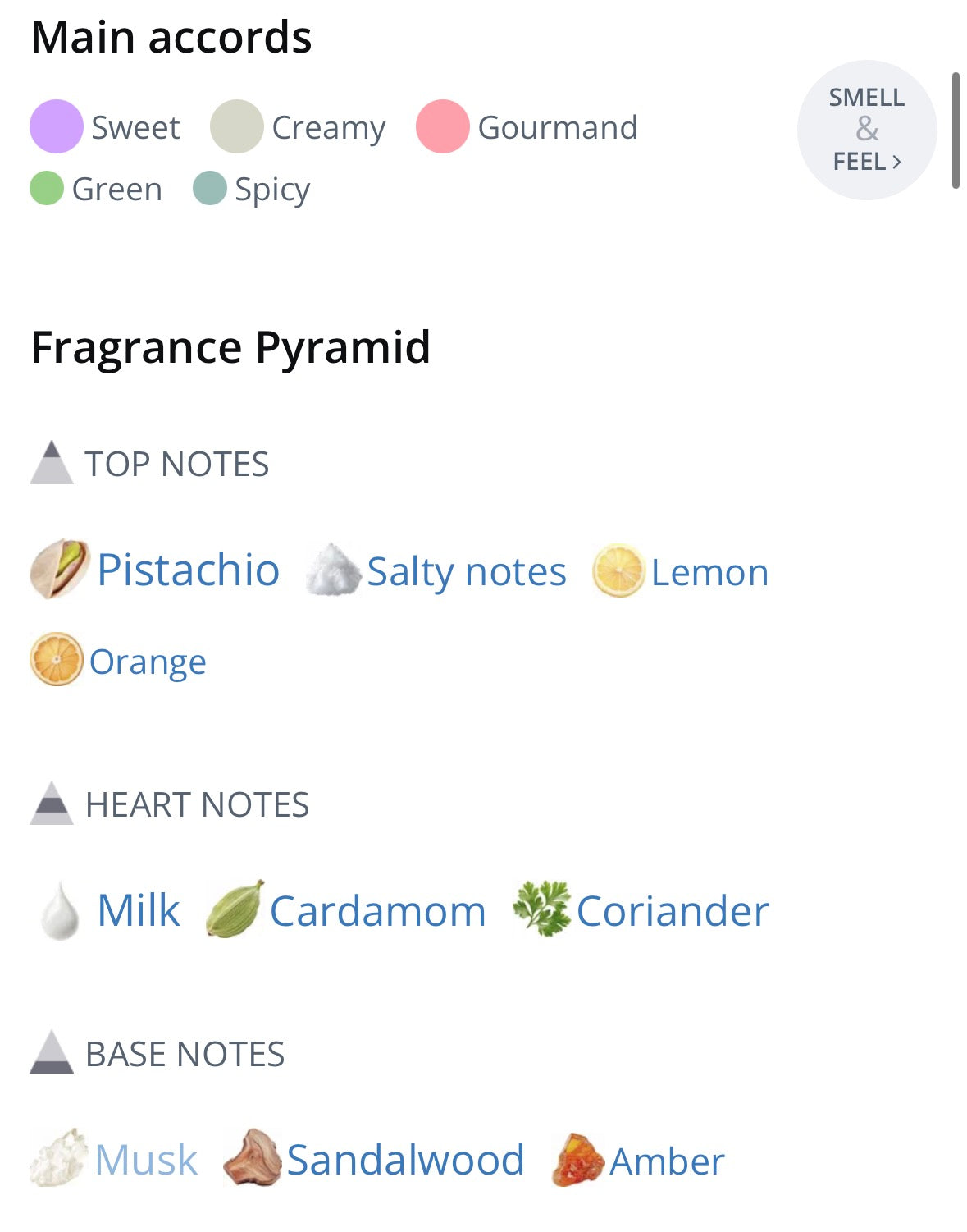 New Notes Latte Pistachio