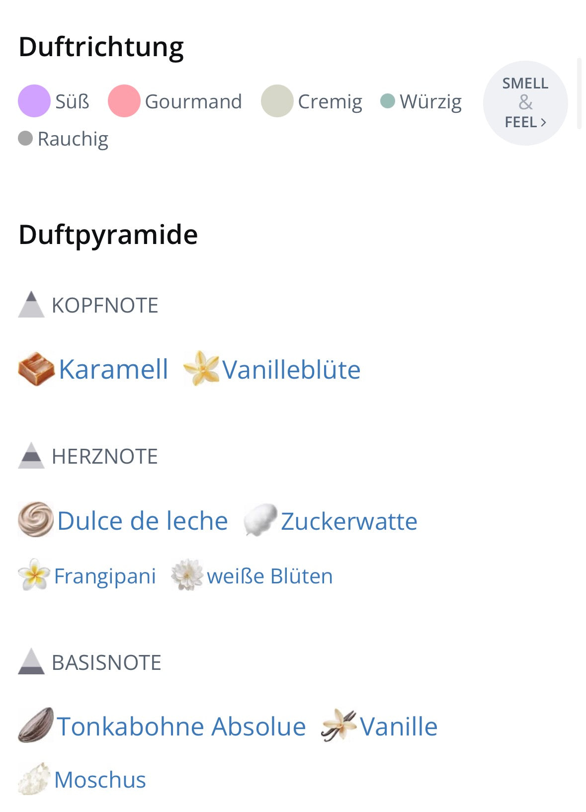 New Notes Caramelo Vanilla