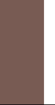 CT KAJALSTIFT THE CLASSIC SHIMMERING BROWN