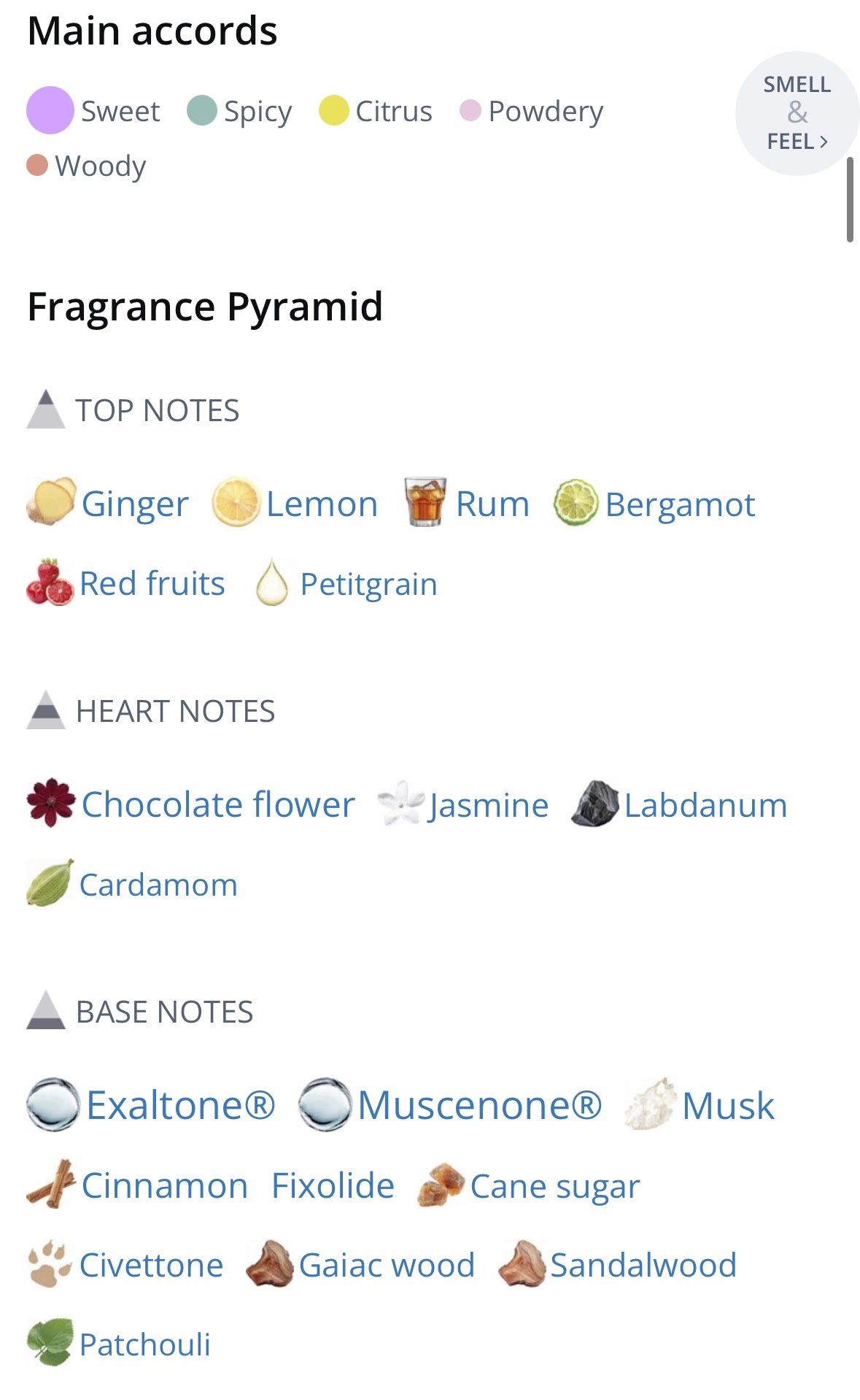 New Note Musk Complexity