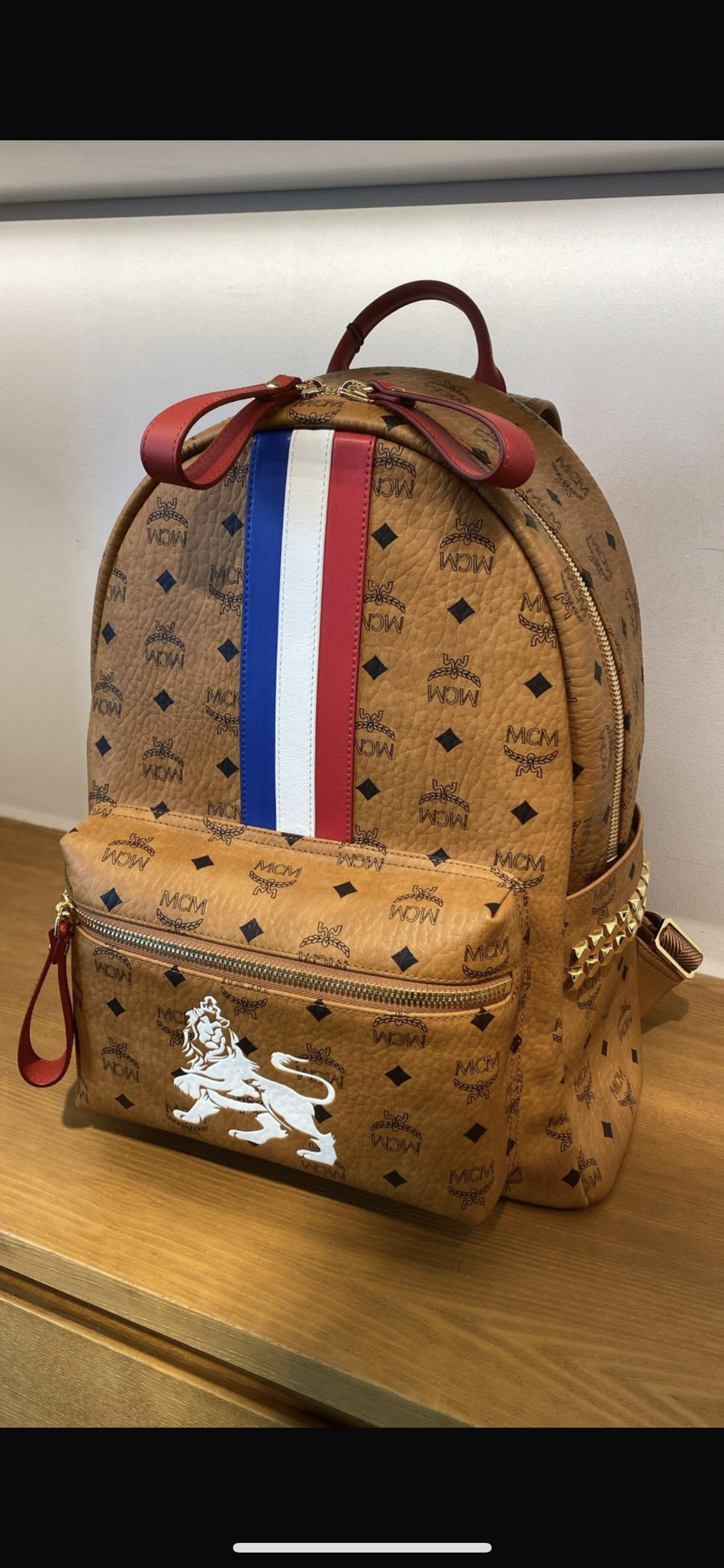 Mcm Rucksack